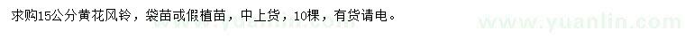 求購15公分黃花風(fēng)鈴