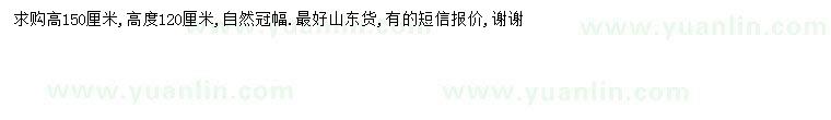 求購(gòu)高150公分接骨木