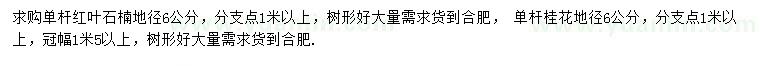 求購地徑6公分單桿紅葉石楠