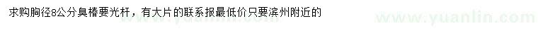 求購胸徑8公分臭椿