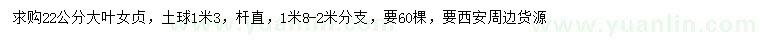 求購22公分大葉女貞