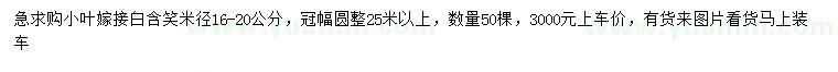 求購米徑16-20公分小葉嫁接白含笑