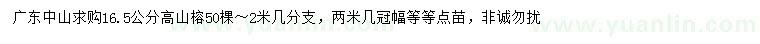 求購16.5公分高山榕