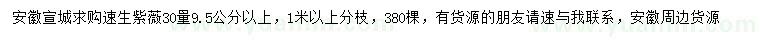 求購30量9.5公分以上速生紫薇