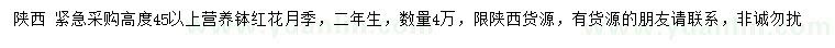 求購高45公分以上紅花月季