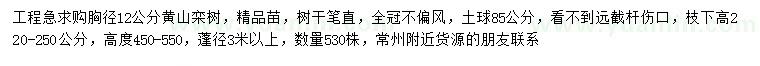 求購胸徑12公分黃山欒樹
