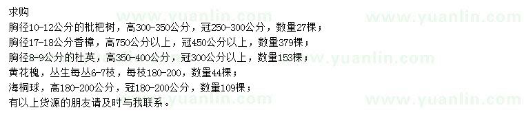 求購(gòu)枇杷樹(shù)、香樟、杜英等