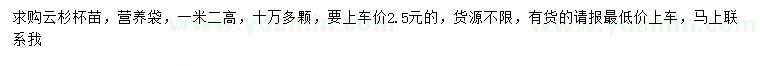 求購高1.2米云杉苗