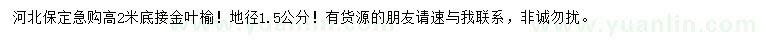 求購高2米低接金葉榆