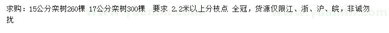 求購(gòu)15、17公分欒樹(shù)