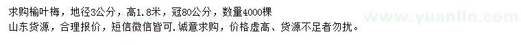 求購地徑3公分榆葉梅