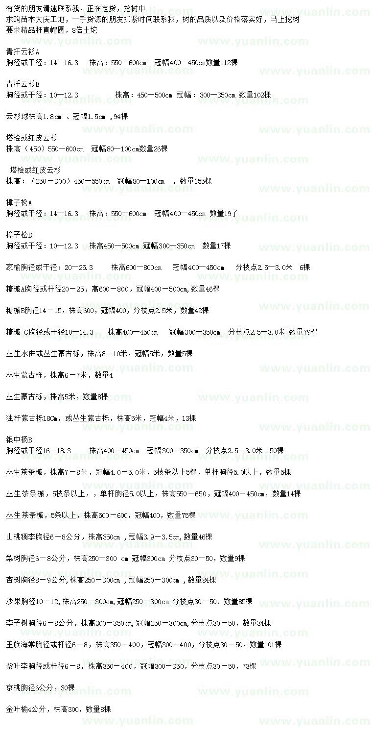 求購(gòu)青扦云衫、塔檜、紅皮云杉等