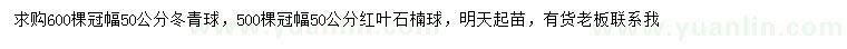 求購冠幅50公分冬青球、紅葉石楠球