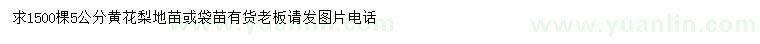 求購(gòu)5公分黃花梨苗