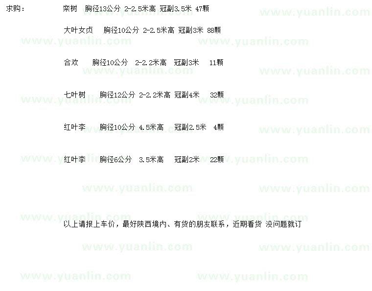 求購欒樹、大葉女貞、合歡
