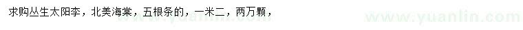 求購叢生太陽李、北美海棠