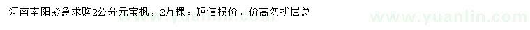 求購2公分元寶楓