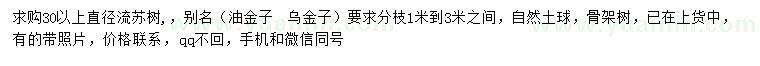 求購直徑30公分以上流蘇