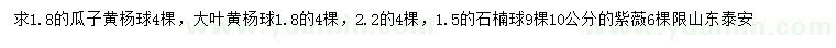 求購瓜子黃楊球、大葉黃楊球、石楠球等
