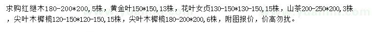 求購(gòu)紅繼木、黃金葉、花葉女貞等