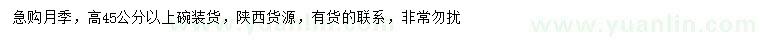 求購高45公分以上月季