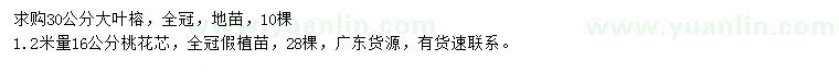 求購(gòu)30公分大葉榕、1.2米量16公分桃花芯