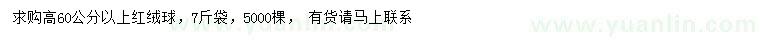 求購高60公分以上紅絨球