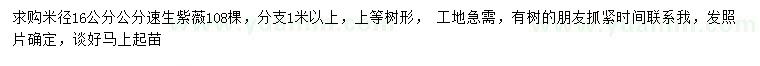 求購米徑16公分公分速生紫薇