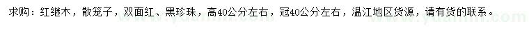 求購高40公分左右紅繼木