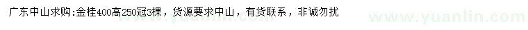 求購高400公分金桂