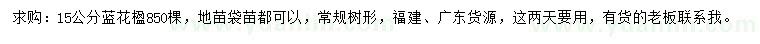 求購(gòu)15公分藍(lán)花楹