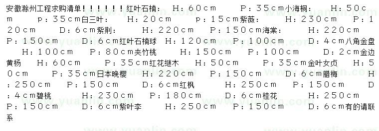 求購紅葉石楠、小海桐、白三葉等