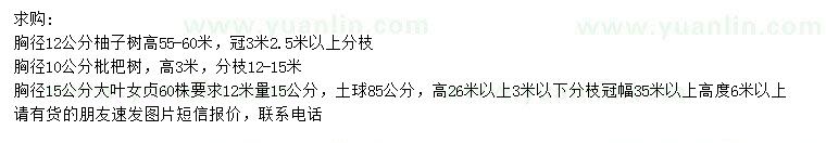 求購(gòu)柚子樹、枇杷樹、大葉女貞