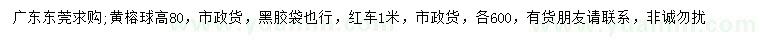 求購(gòu)高80公分黃榕球