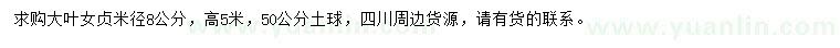 求購8公分大葉女貞