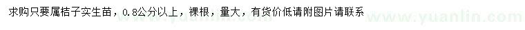 求購0.8公分以上桔子實生苗