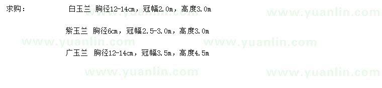 求購(gòu)白玉蘭、紫玉蘭、廣玉蘭