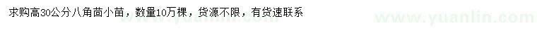 求購高30公分八角茴小苗