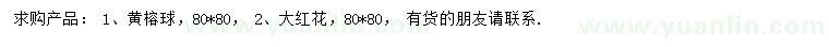 求購(gòu)黃榕球、大紅花