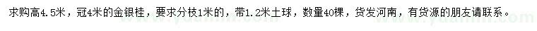 求購高4.5米金銀桂