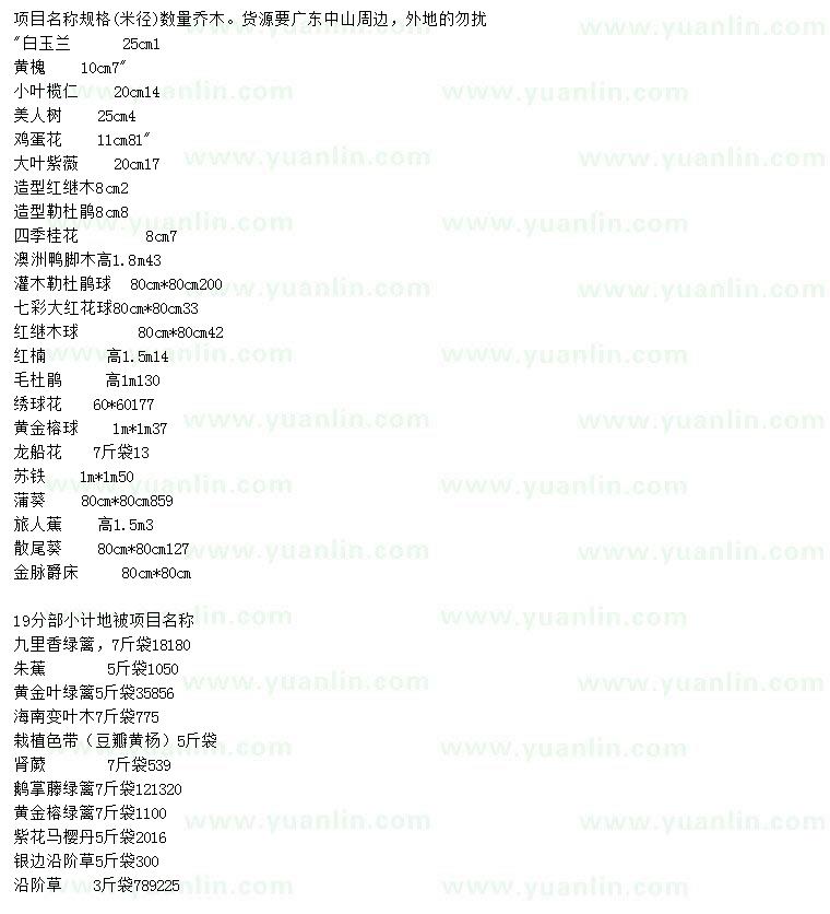求購白玉蘭、黃槐、小葉欖仁等