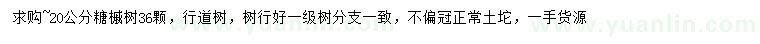 求購20公分糖槭樹
