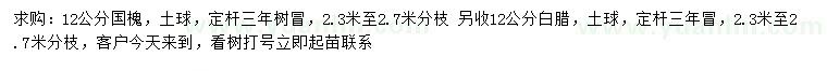 求購(gòu)12公分國(guó)槐、白臘