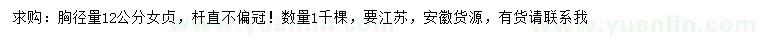求購胸徑12公分女貞