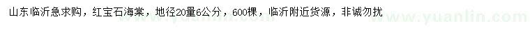 求購地徑20量6公分紅寶石海棠