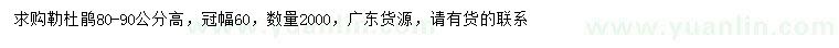 求購(gòu)高80、90公分勒杜鵑