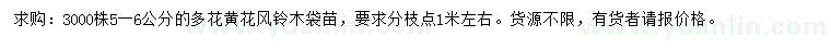 求購5-6公分花黃花風(fēng)鈴木