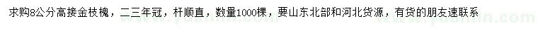 求購8公分高接金枝槐