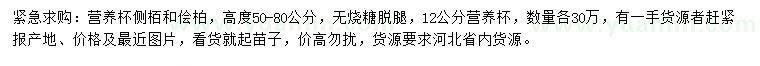 求購高50-80公分側(cè)柏、檜柏