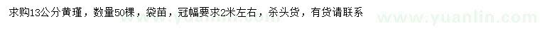 求購(gòu)13公分黃瑾
